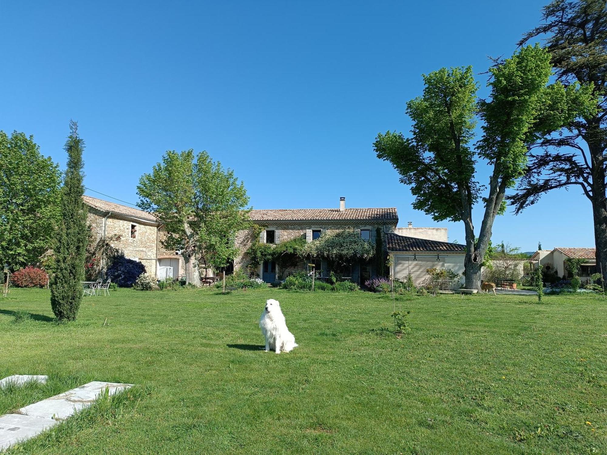 Bed and Breakfast La Boheme Charols Екстер'єр фото
